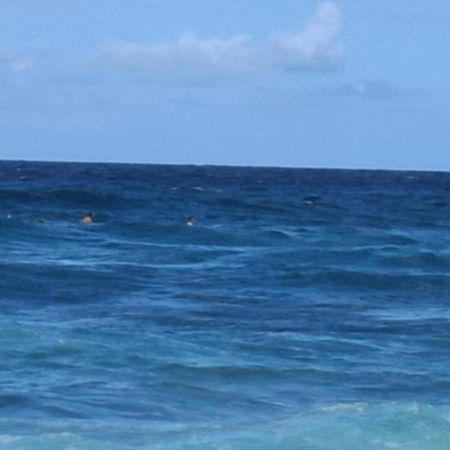 Cattleya Apartments Curacao Willemstad Bagian luar foto