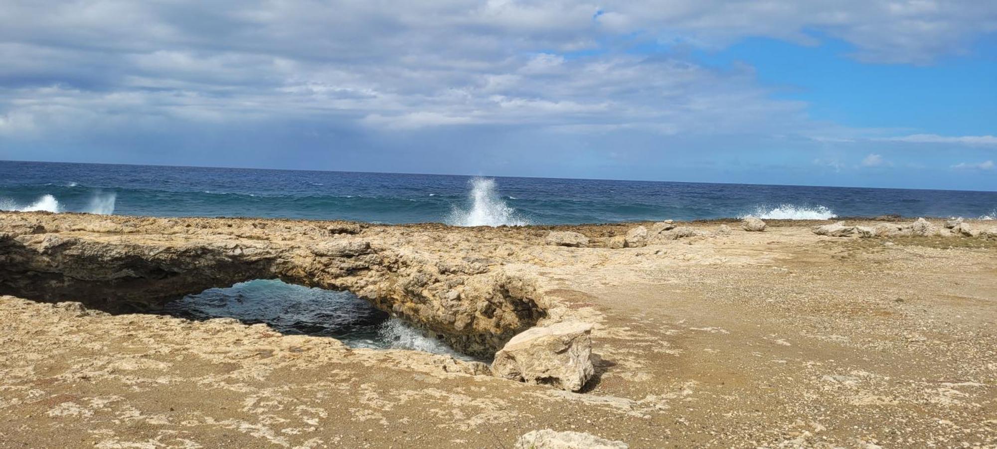 Cattleya Apartments Curacao Willemstad Bagian luar foto